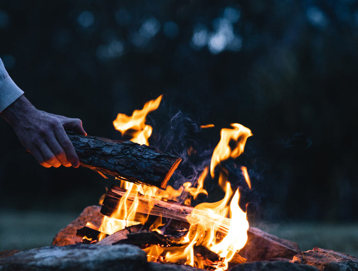 <h2><strong>Our Mission</strong></h2>